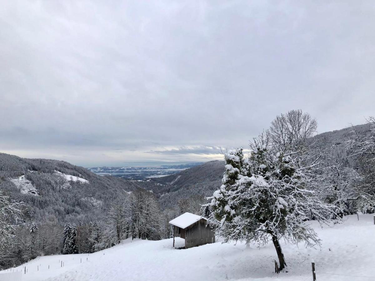 Almhaus Kochjosel Villa Garanas Exteriör bild