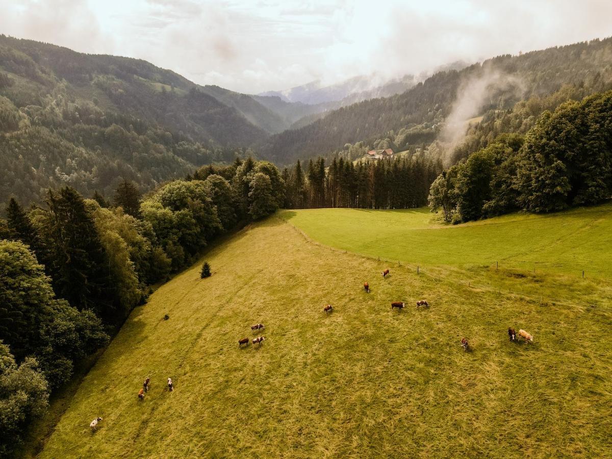 Almhaus Kochjosel Villa Garanas Exteriör bild