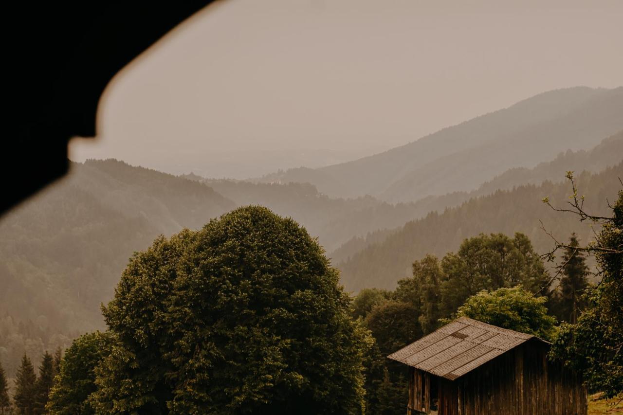 Almhaus Kochjosel Villa Garanas Exteriör bild